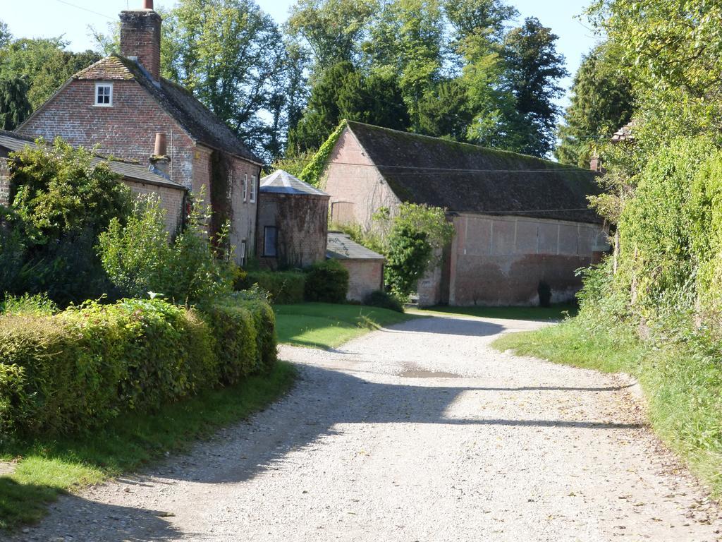 Wimborne Saint Giles Home Farm House المظهر الخارجي الصورة